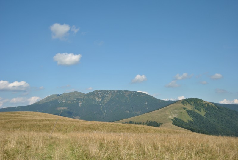 pepajs.cz